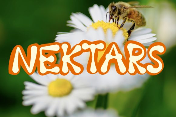 Discover Nektars: A Bold and Unique Display Typeface