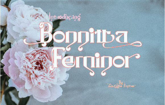 Enhance Your Web Design with Bonnitta Feminor Font
