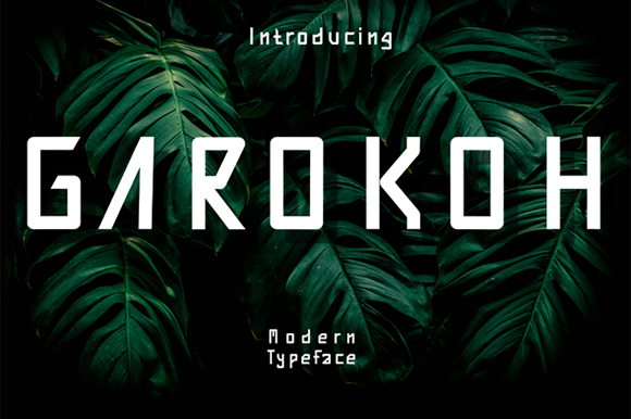 Garokoh: A Clean and Versatile Display Font for Web Design
