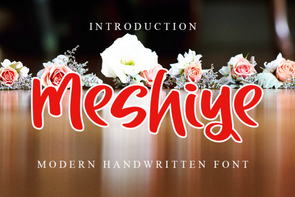 Meshiye: A Playful Display Font for Memorable Branding